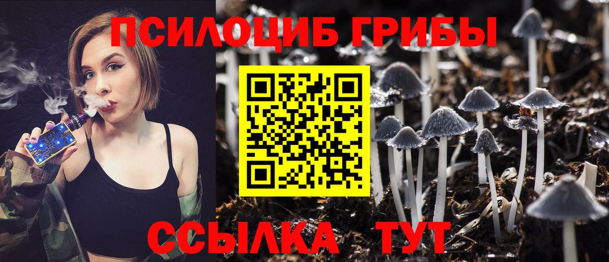 Мичуринск  Псилоцибиновые грибы Psilocybine cubensis  Вход с VPN 